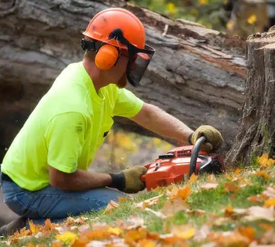 tree services Richwood